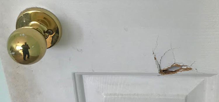 interior door hole repair Cherry Valley